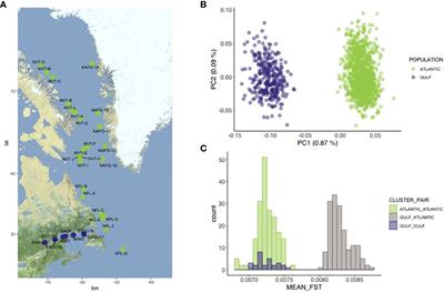 Frontiers A Cold Water Fish Striving In A Warming Ocean Insights